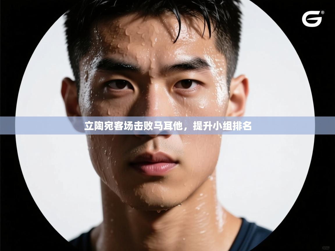 开云体育-立陶宛客场击败马耳他,提升小组排名  第2张