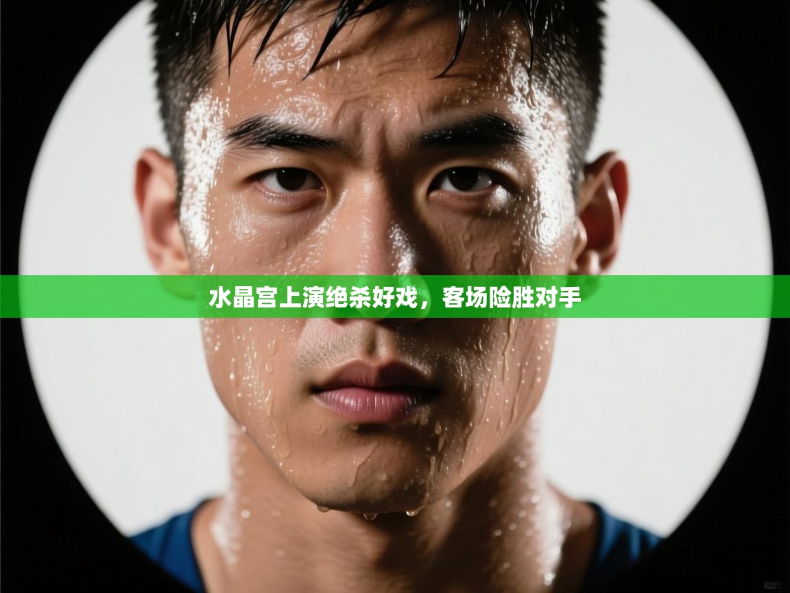 开云体育注册-水晶宫上演绝杀好戏,客场险胜对手 第2张