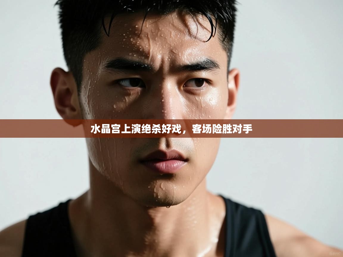 开云体育注册-水晶宫上演绝杀好戏,客场险胜对手 第1张