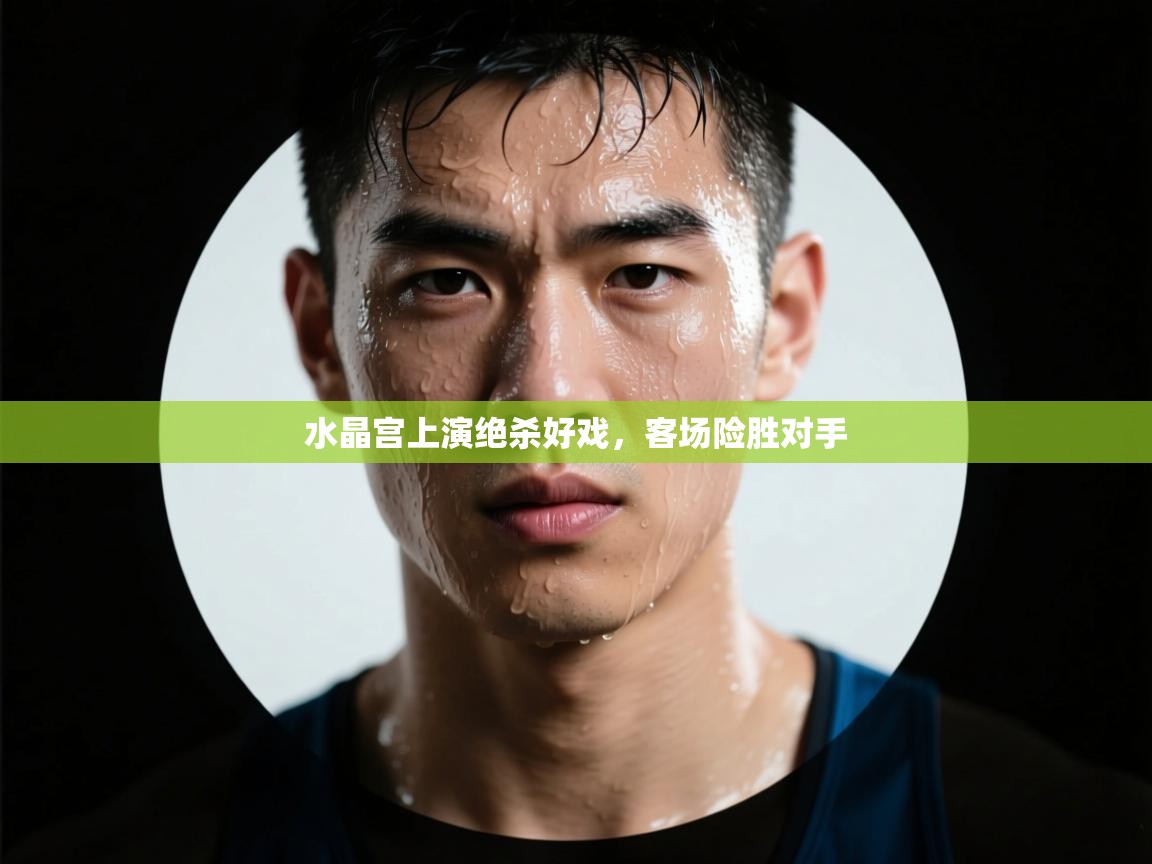 开云体育注册-水晶宫上演绝杀好戏,客场险胜对手 第4张