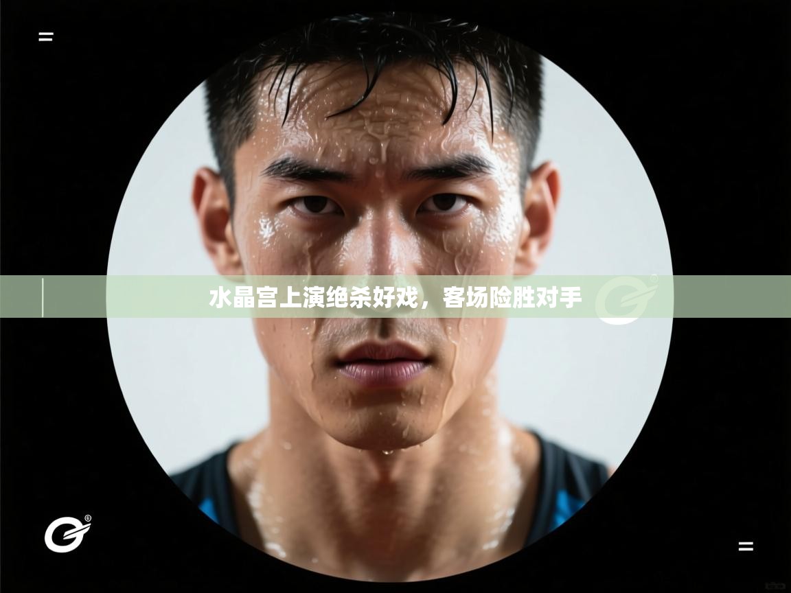 开云体育注册-水晶宫上演绝杀好戏,客场险胜对手 第3张