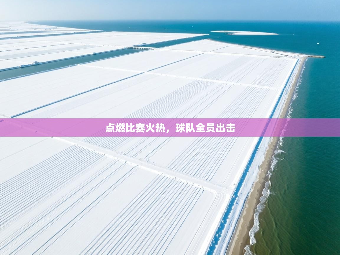 开云体育入口-点燃比赛火热,球队全员出击 第4张