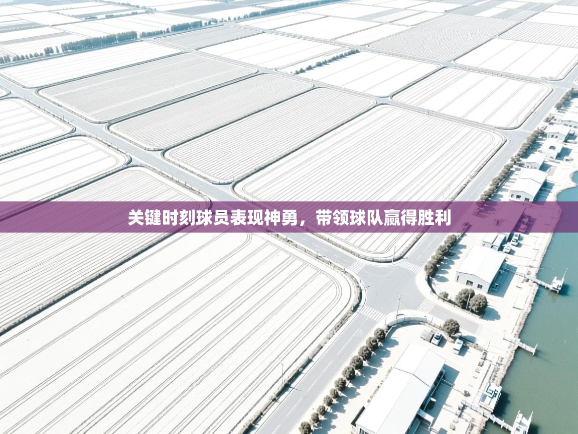 开云体育忘记密码找回-关键时刻球员表现神勇,带领球队赢得胜利 第1张