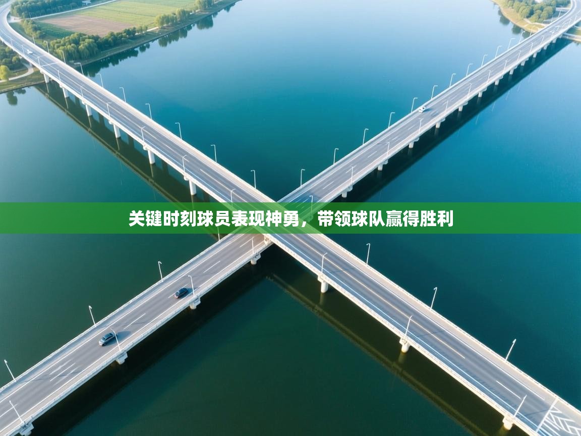 开云体育忘记密码找回-关键时刻球员表现神勇,带领球队赢得胜利 第2张