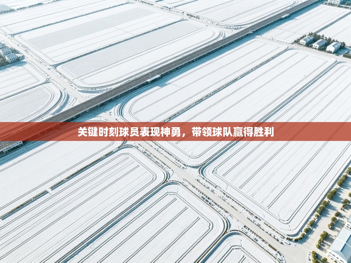 开云体育忘记密码找回-关键时刻球员表现神勇,带领球队赢得胜利 第3张
