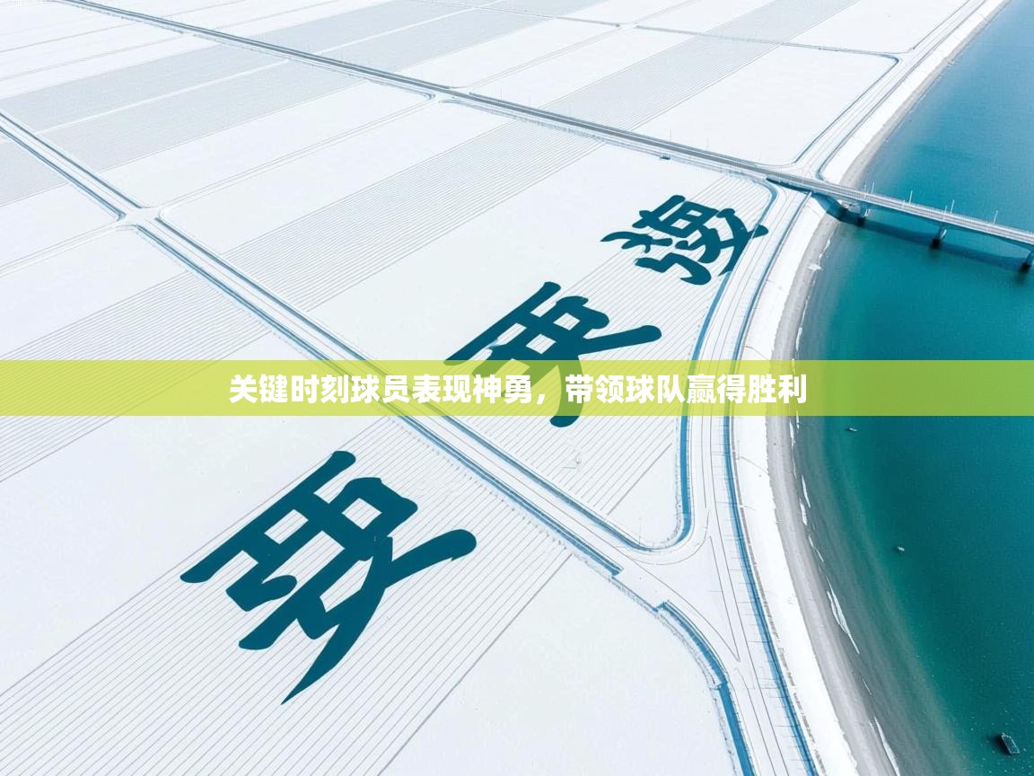 开云体育忘记密码找回-关键时刻球员表现神勇,带领球队赢得胜利 第4张