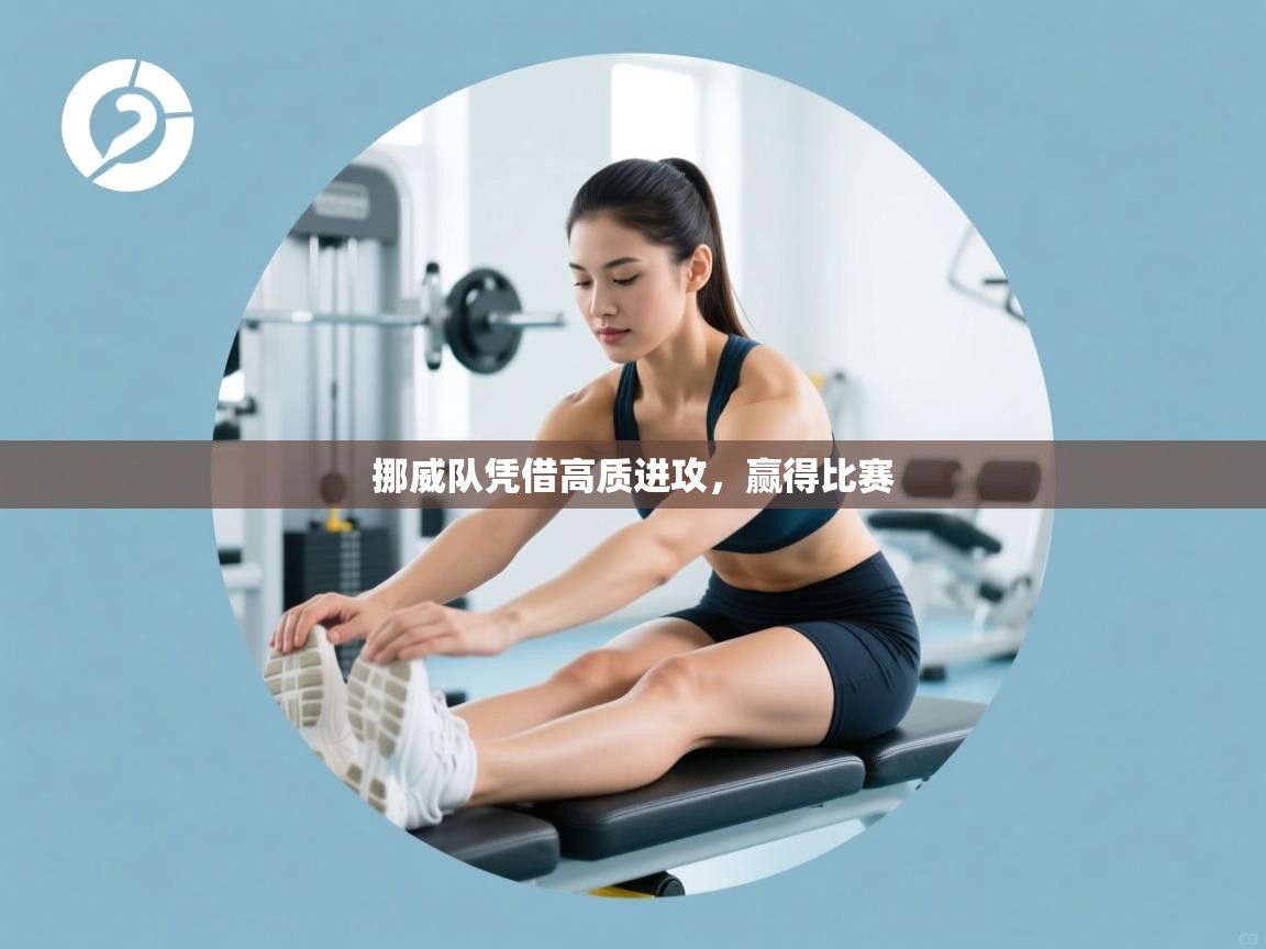 开云体育入口下载-挪威队凭借高质进攻，赢得比赛  第2张