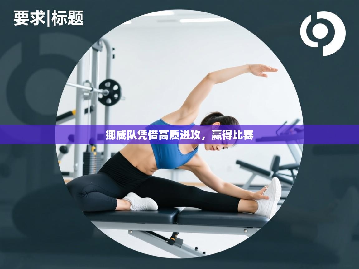 开云体育入口下载-挪威队凭借高质进攻，赢得比赛  第1张