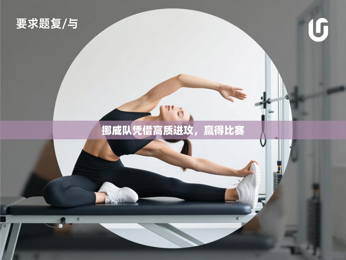 开云体育入口下载-挪威队凭借高质进攻，赢得比赛  第3张