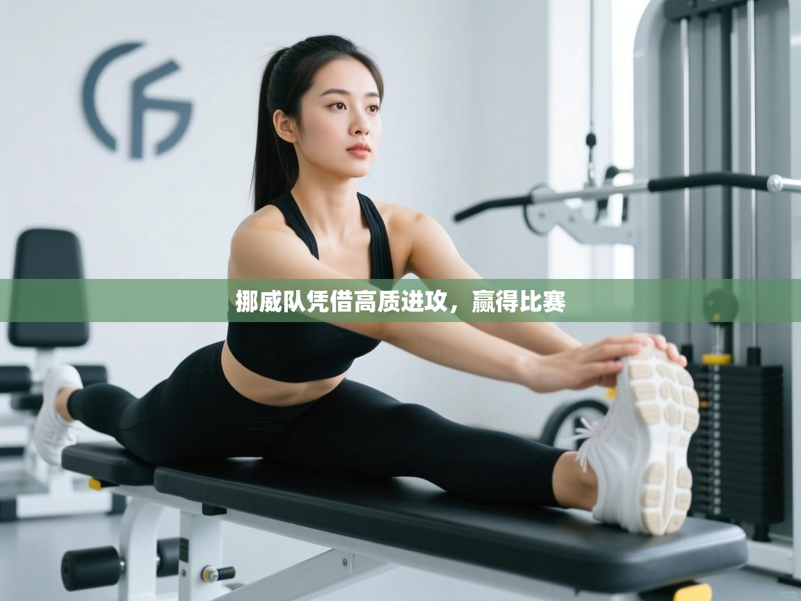 开云体育入口下载-挪威队凭借高质进攻，赢得比赛  第4张