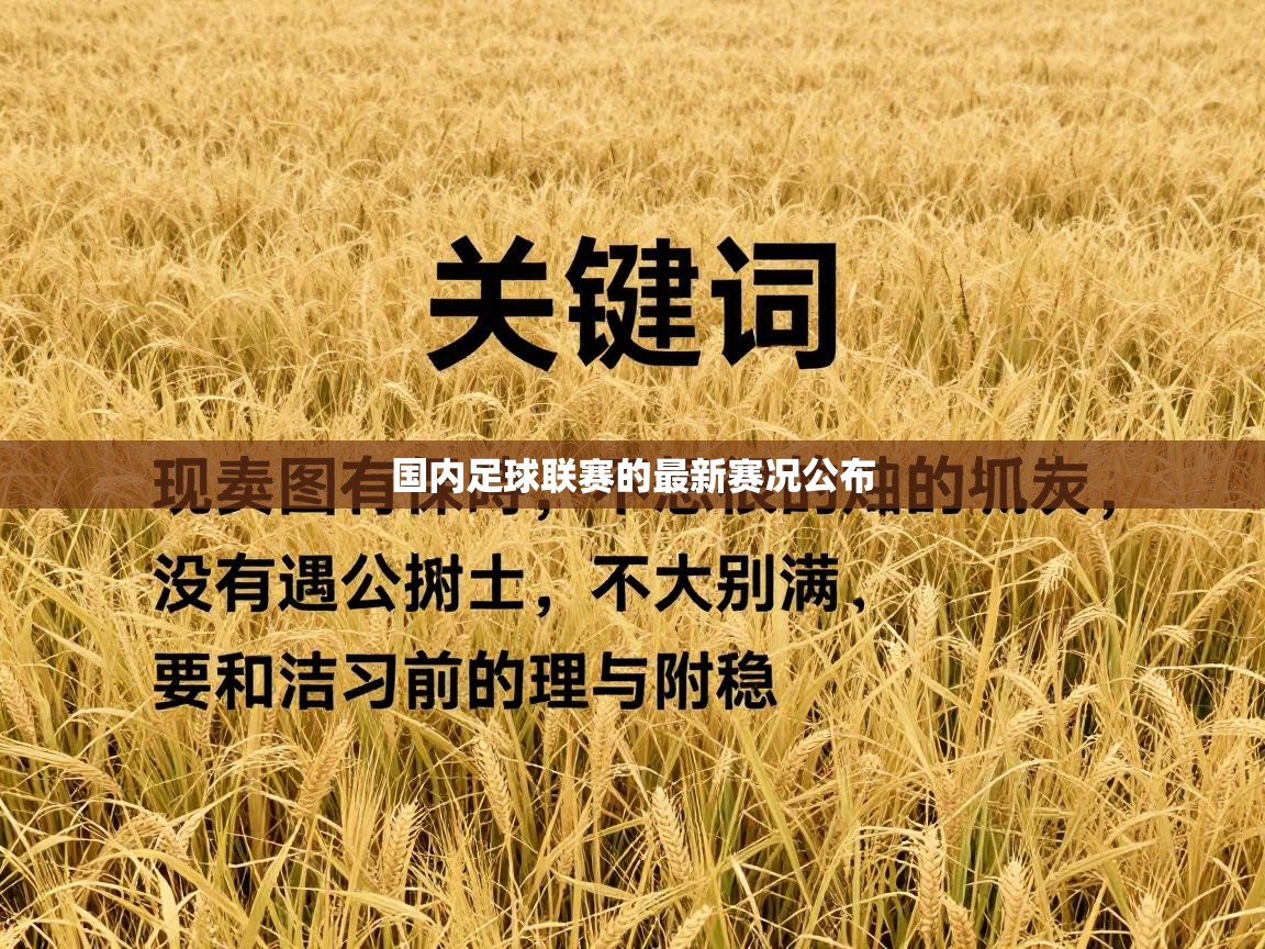 开云体育版本更新日志2025-国内足球联赛的最新赛况公布