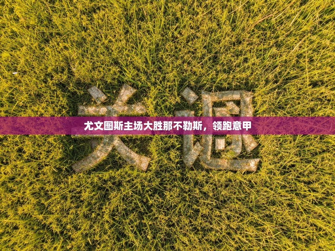 开云体育PC版网页版登录-尤文图斯主场大胜那不勒斯，领跑意甲  第2张