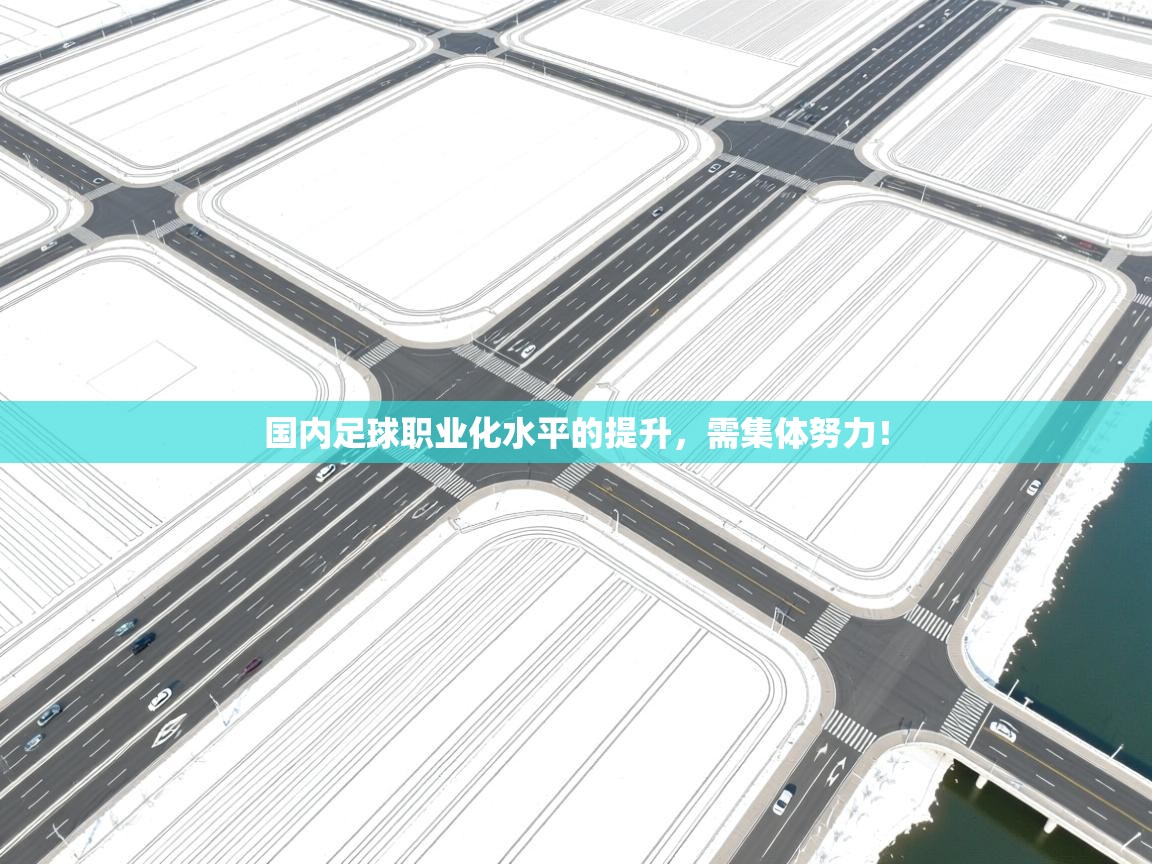 云开体育app官网入口网页版-国内足球职业化水平的提升，需集体努力！  第1张