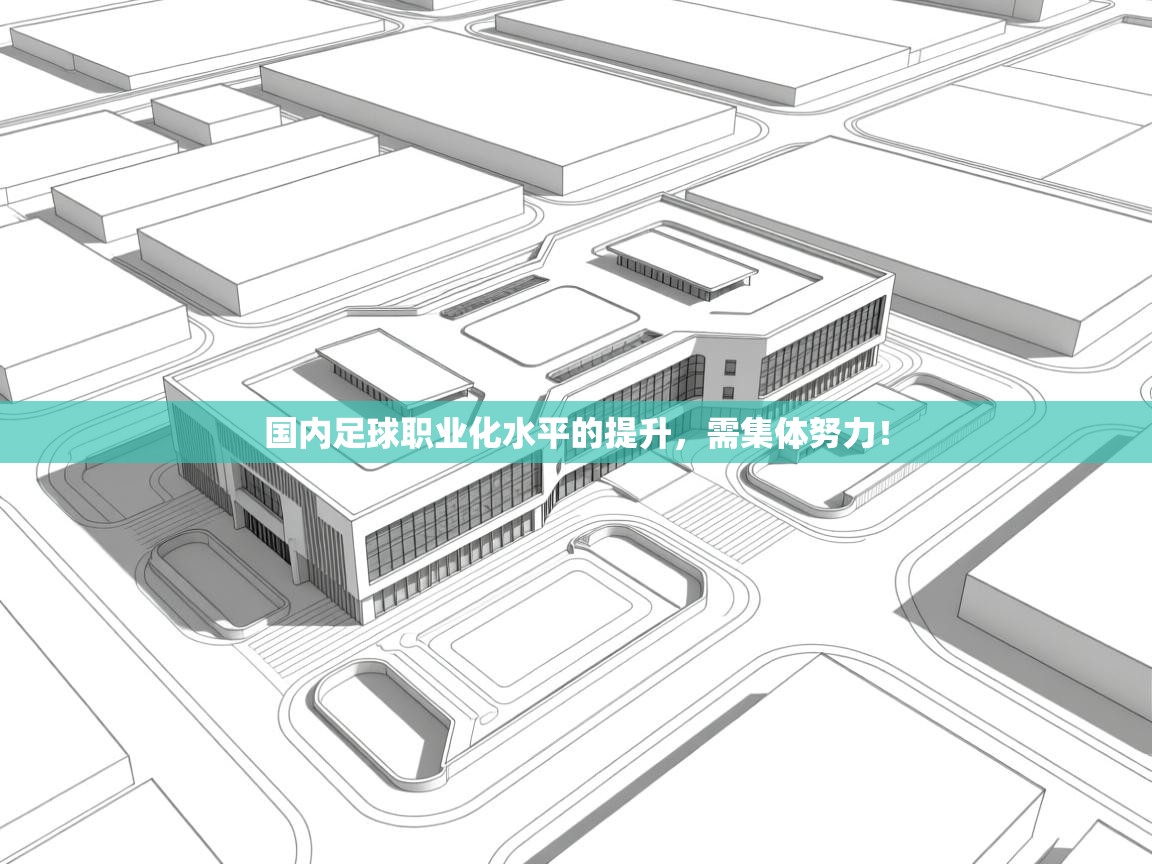 云开体育app官网入口网页版-国内足球职业化水平的提升，需集体努力！  第2张