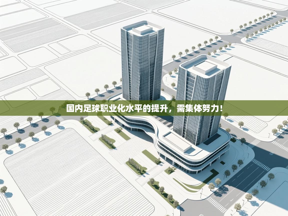 云开体育app官网入口网页版-国内足球职业化水平的提升，需集体努力！  第3张