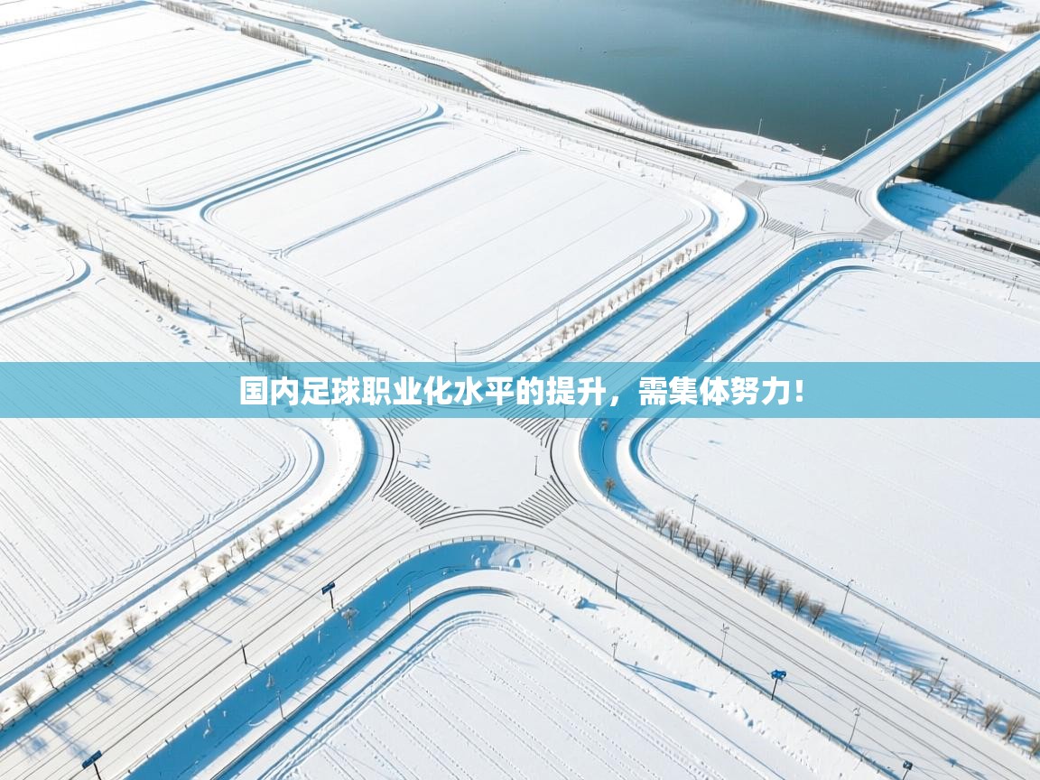 云开体育app官网入口网页版-国内足球职业化水平的提升，需集体努力！  第4张