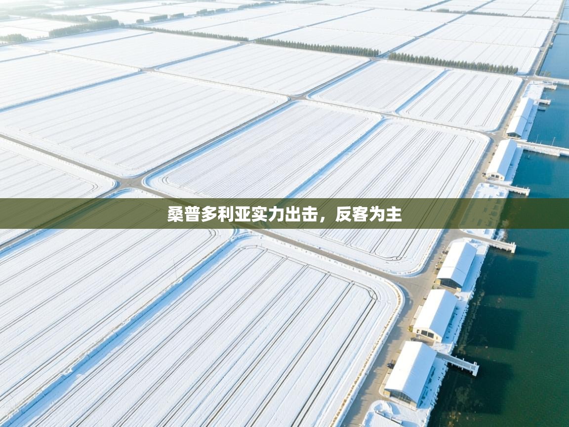 开云网页版-桑普多利亚实力出击，反客为主