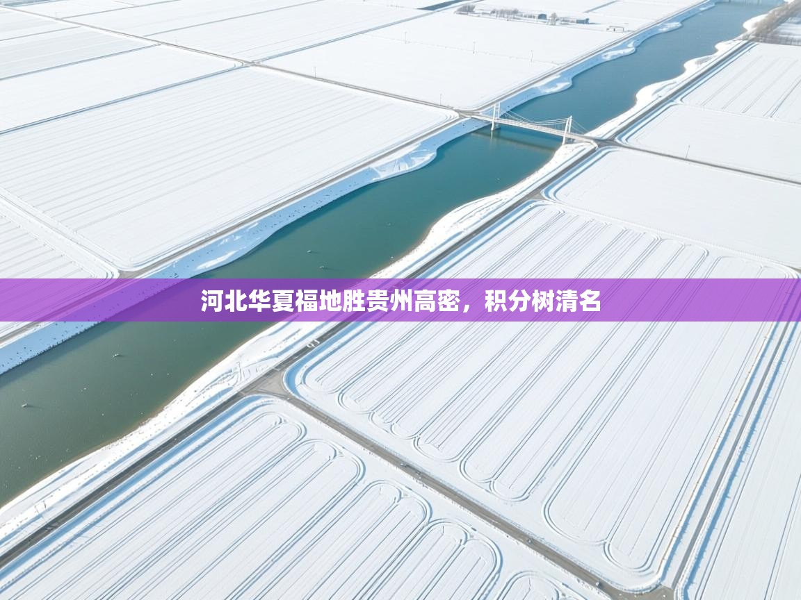 开云体育app下载入口-河北华夏福地胜贵州高密,积分树清名 第2张