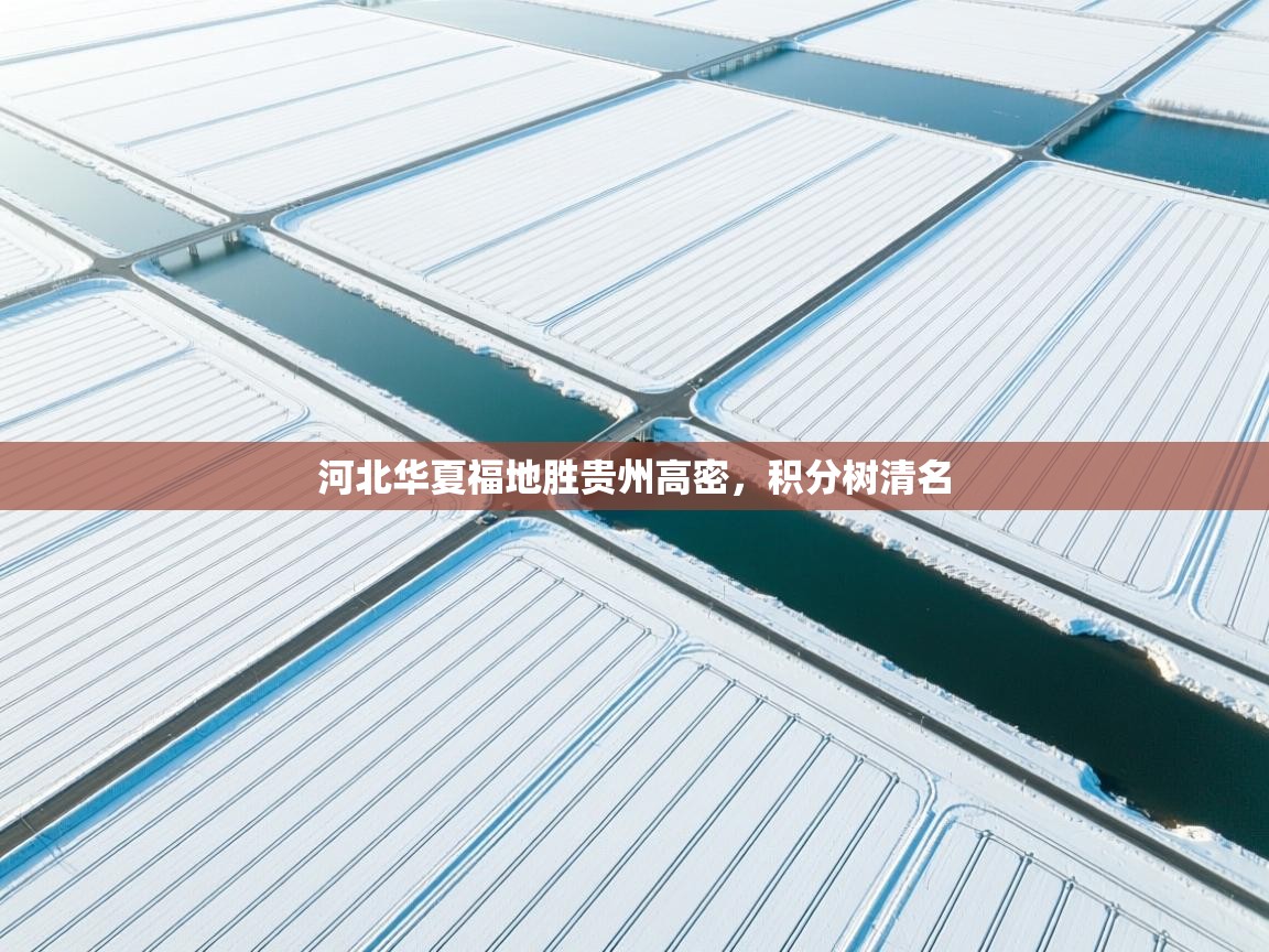 开云体育app下载入口-河北华夏福地胜贵州高密,积分树清名 第3张