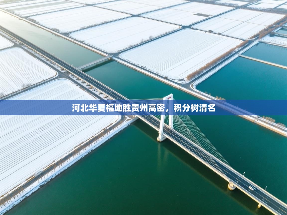 开云体育app下载入口-河北华夏福地胜贵州高密,积分树清名 第4张