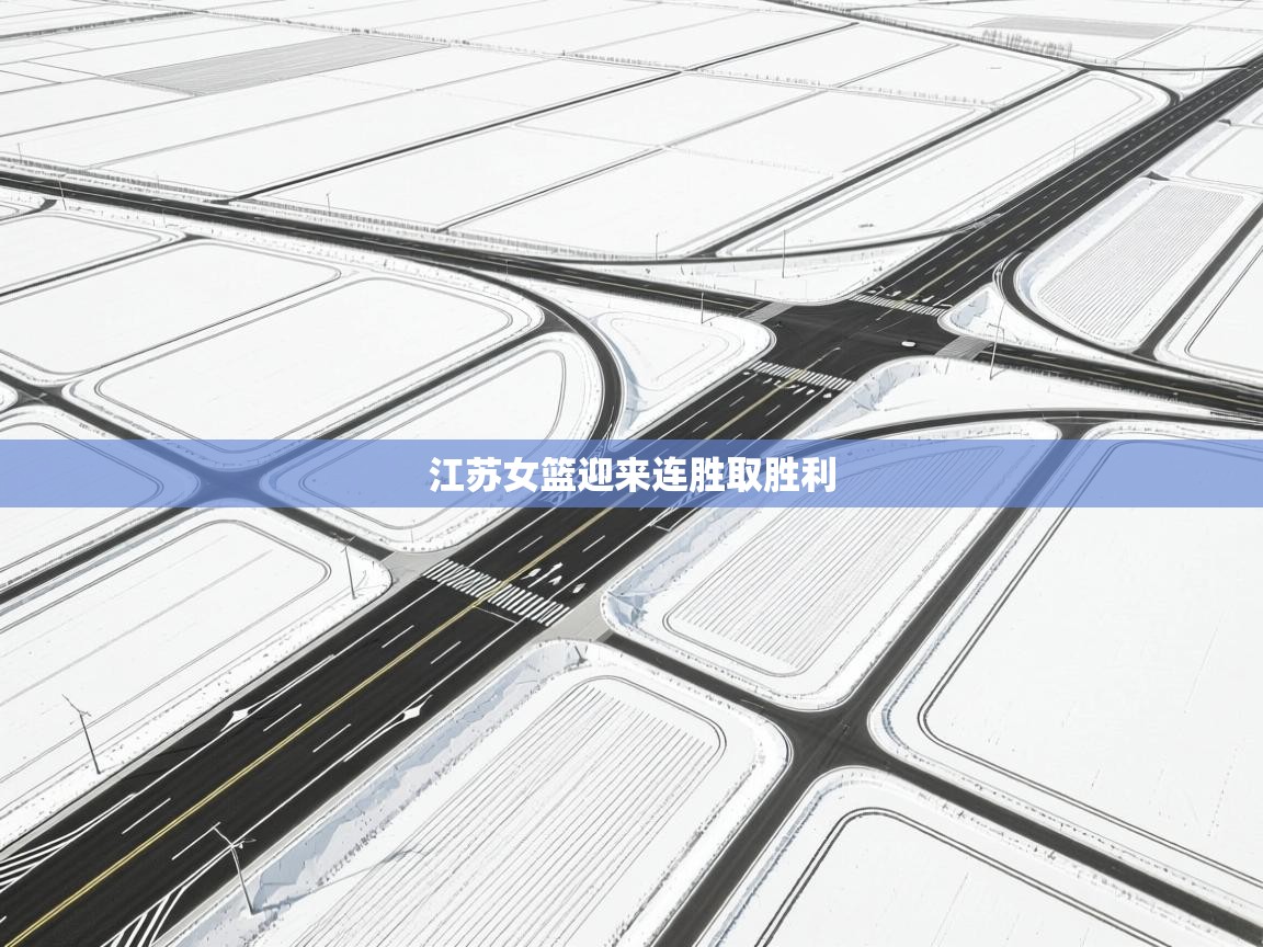 开云体育登录入口网址-江苏女篮迎来连胜取胜利  第3张